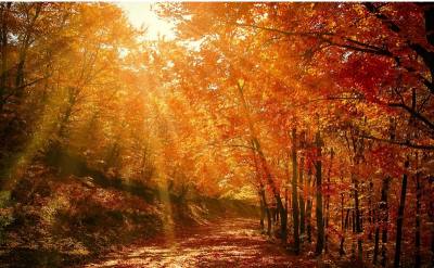 Buyacarehome & Ownacarehome Quarterly Round Up