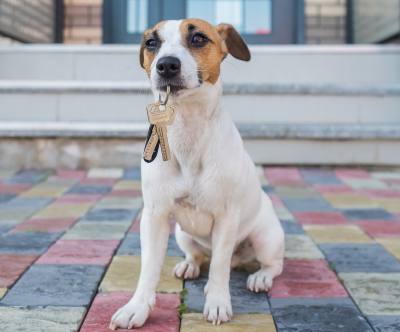 Tips for your Care Home Aquisition Search