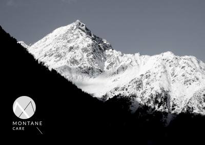 {{property:listingtitle}}